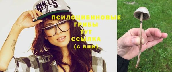 спайс Пестово
