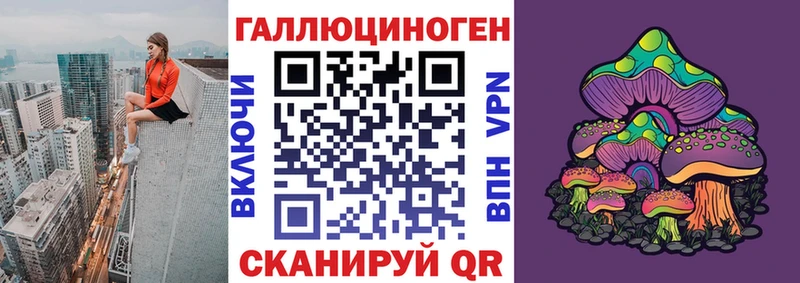 Псилоцибиновые грибы Psilocybe  Купить где  Горячий Ключ 